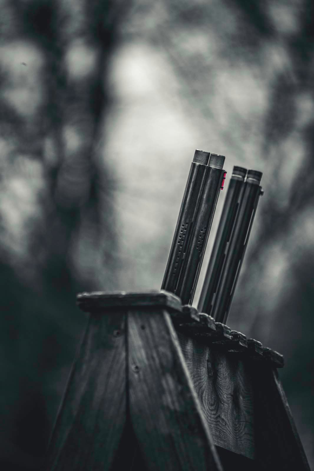 A quiet vertical study of shotgun barrels in soft field light.
