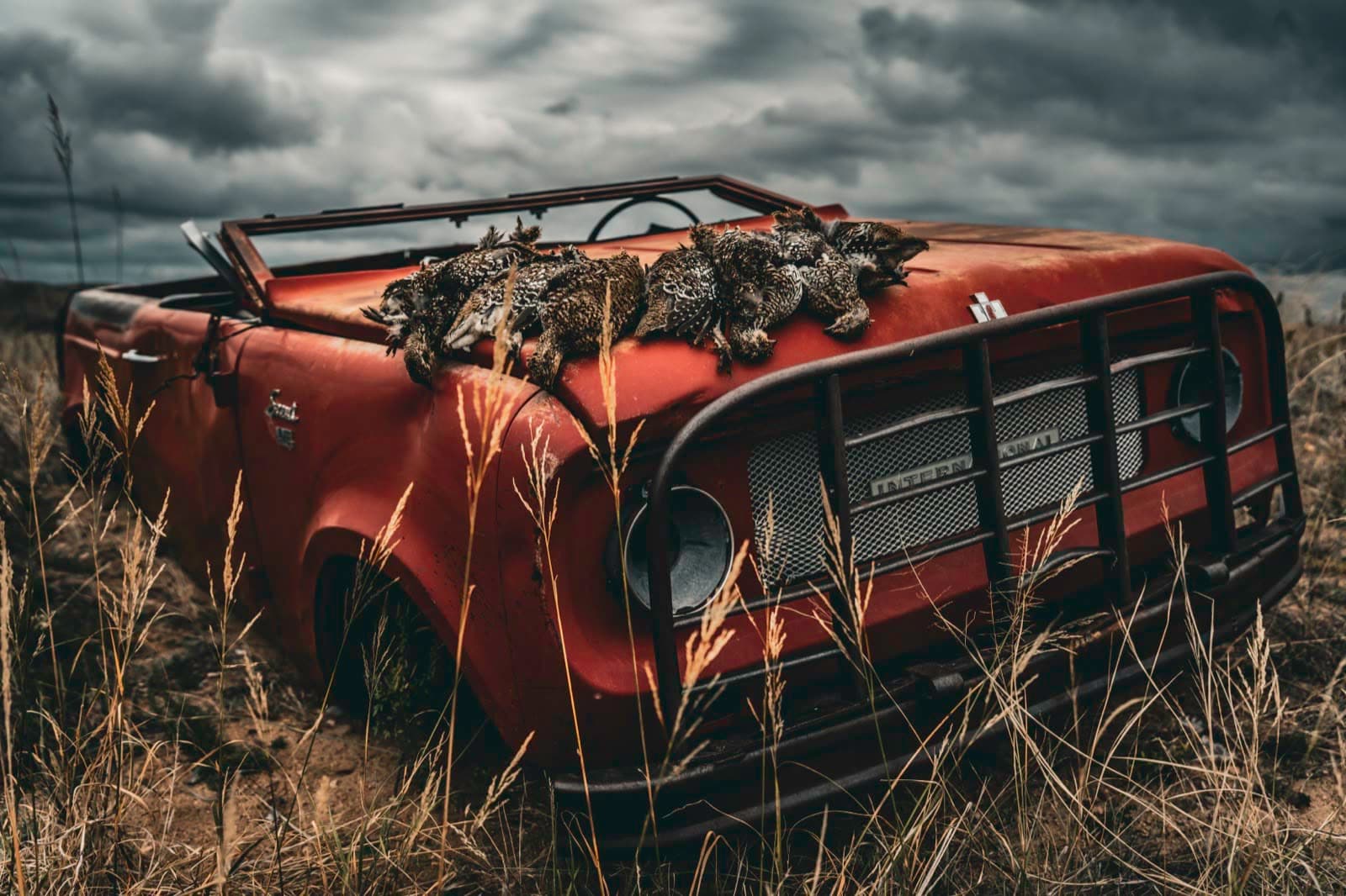 A leather field bag and gear resting in grass under storm light.