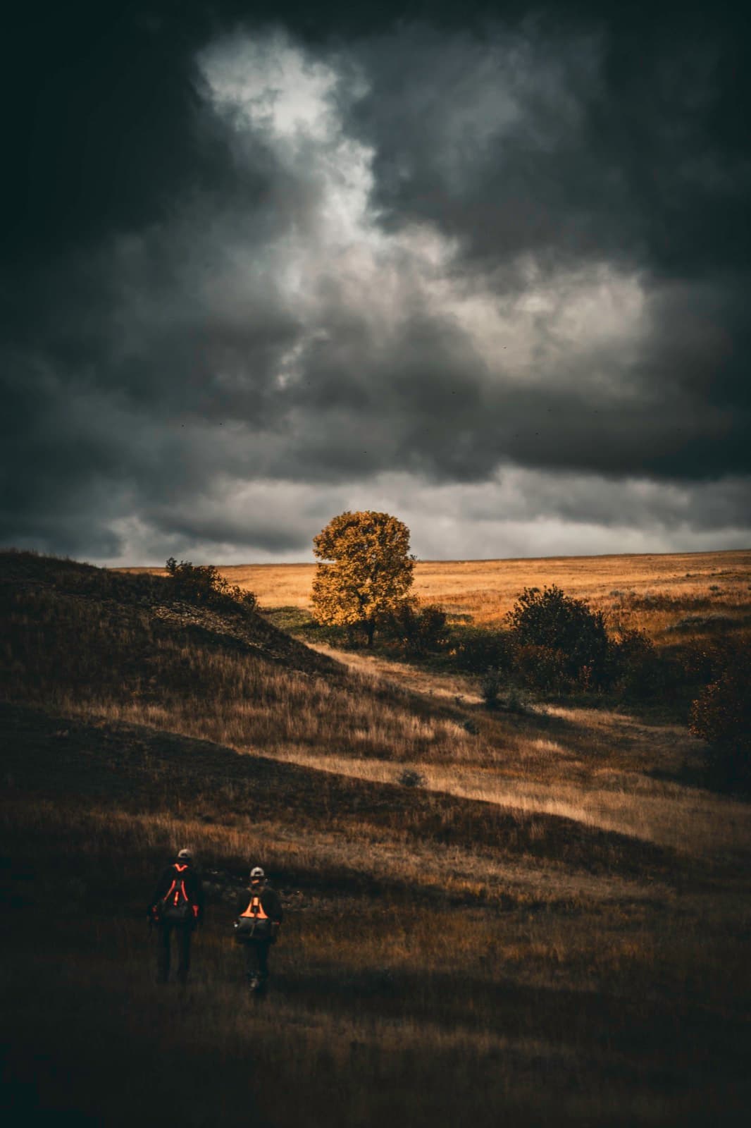 Figures and a tree line compressed near the bottom of a vertical frame.